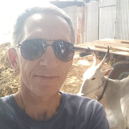 ���� ���������, ������, 54 ���� - ��������� 6 ����� 2025