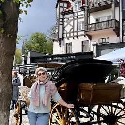 �������, ���, 53 ����