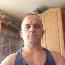 ����, 46 ���, ������