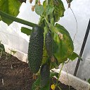 ���� ������-�������, ��������� - ��������� 13 ������ 2026 � ������ ���� ����������