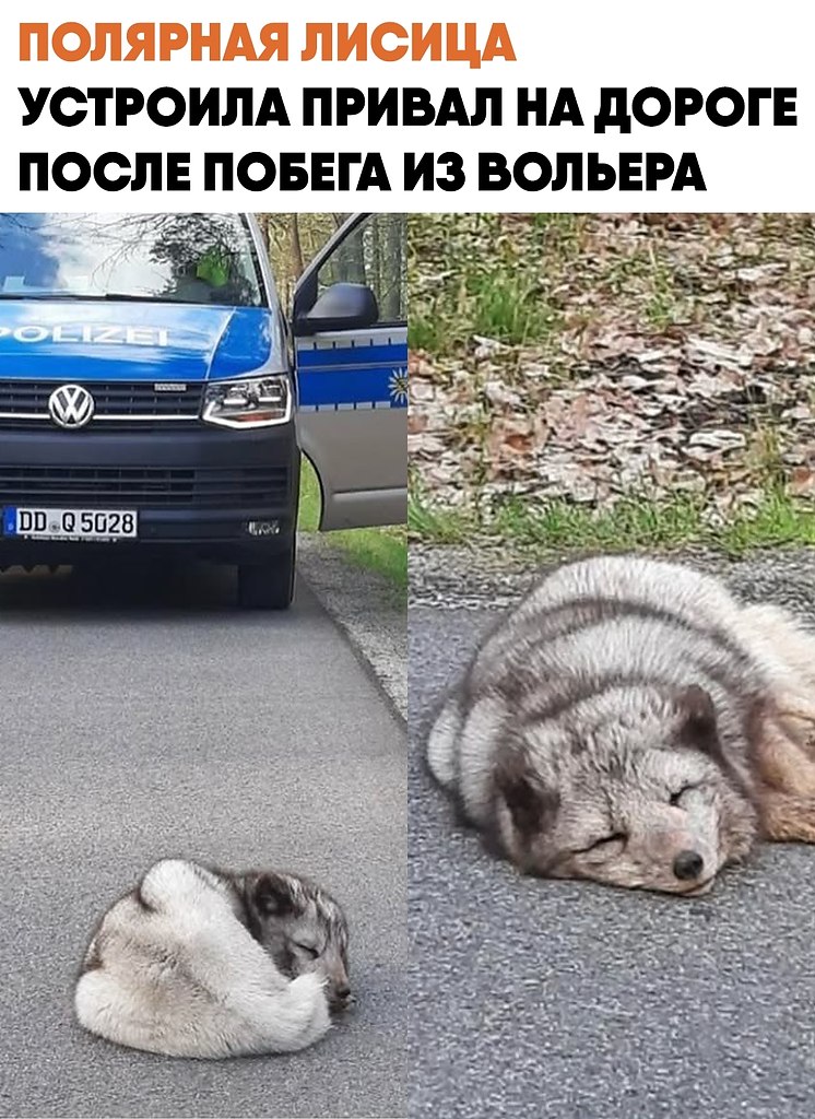 �������� ������ ������� �� ������� � �������� ������ ����� �� ������. ��������� ������ ��������� � ...