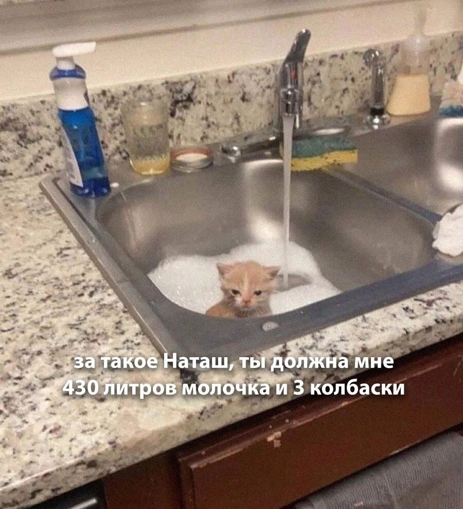    - 20  2024  21:14