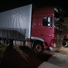 ���� ����, ������, 45 ��� - ��������� 1 ������ 2026