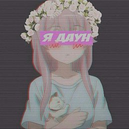 �����, ��������, 26 ���