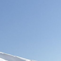 �������, ������������, 51 ���