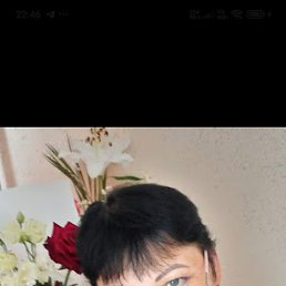 ��������, �����������, 49 ���