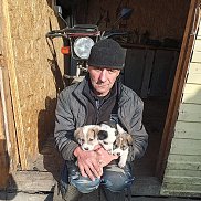 �������, 45 ���, ������