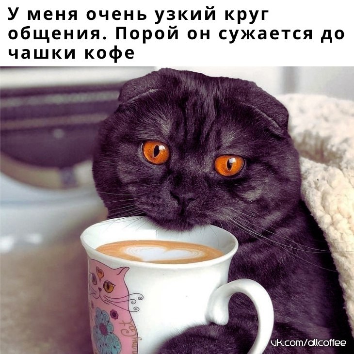    - 7  2025  13:18