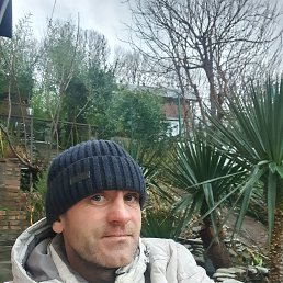 ����, 39 ���, ����