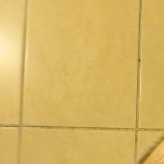, 44 , 
