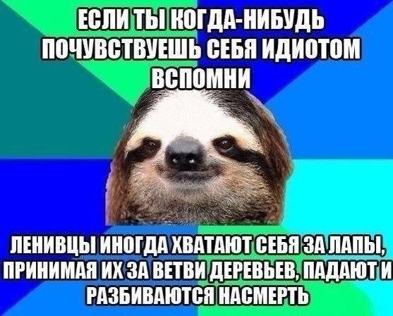 ? ,  ! - 13  2024  11:37