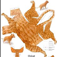 Timur, 25 ���, �������