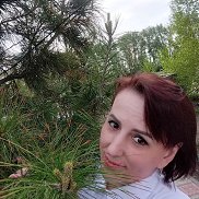 , 43 , 