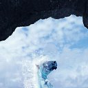 ���� ������, ������, 25 ��� - ��������� 24 ������ 2024 � ������ ���� ����������