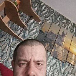 , 40, 