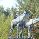 ���� Oleg, �������, 34 ���� - ��������� 31 ���� 2025 � ������ ���� ����������