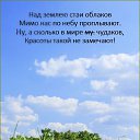 ���� �����, ������ - ��������� 29 ����� 2026 � ������ ������ ��������