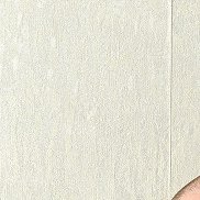 ��������, 46 ���, �����������