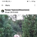 ���� ������, ���������, 63 ���� - ��������� 16 ���� 2025 � ������ ���� ����������