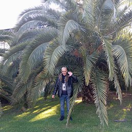 �����, 53 ����, ����