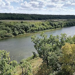 ������, ������, 41 ���