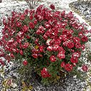 ���� ����, ������, 59 ��� - ��������� 3 ������ 2024 � ������ ���� ����������