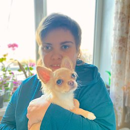 , 23 , 