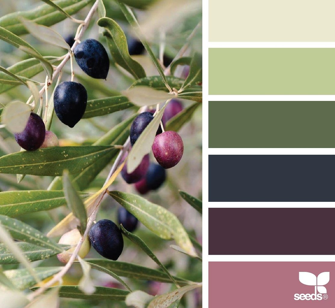 ������������� - 5