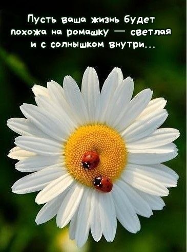 ��� ���� - 6 ���� 2026 � 16:28