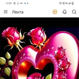 ��������, �������, 51 ���