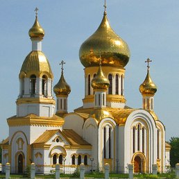 �����, �������, 50 ���