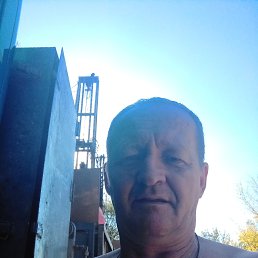 , 51, 