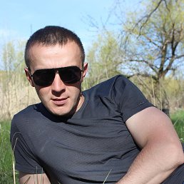 �����, 41 ���, ���������