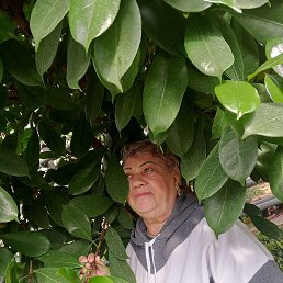 ������, ������, 75 ���