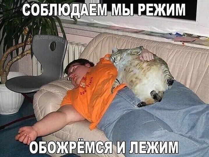 ☆ ☆ - 16  2025  20:18