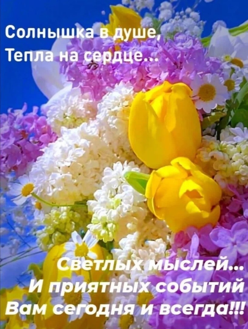 ����� �������� - 1 ����� 2025 � 13:21