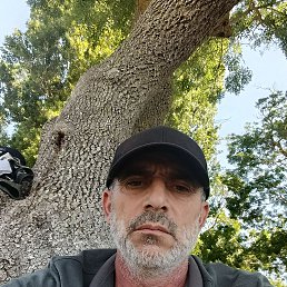 , 39, 