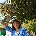 ���� �������, ������������, 55 ��� - ��������� 14 ���� 2025 � ������ ���� ����������