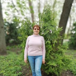 , 65, 