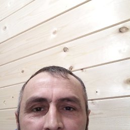 ���� ���, �����, 44 ���� - ��������� 8 ������ 2024