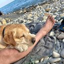 ���� ��������, ����������, 46 ��� - ��������� 18 ������� 2023 � ������ ���� ����������