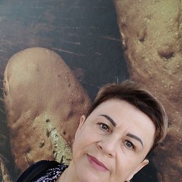 ���� ����, ������-��-����, 59 ��� - ��������� 28 ������� 2026