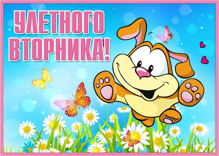 ***Victoria Viktorovna*** - 30  2024  05:42