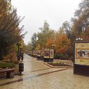 ���� ����������, ������ - ��������� 28 ������� 2024 � ������ ������ ��������