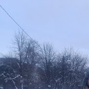 �����, 47 ���, ������