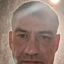 �������, ������, 40 ���