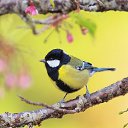 ���� �������, ������, 67 ��� - ��������� 21 ������ 2023 � ������ ���� ����������