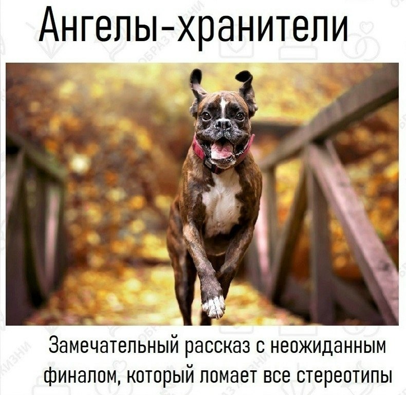 ������ � ������. � ������ � ������ � ������. ����� ������. ������ ��� ��� ������ �� �������. ������ ...