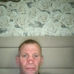 , 40, 