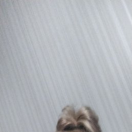 ���������, ���������, 45 ���